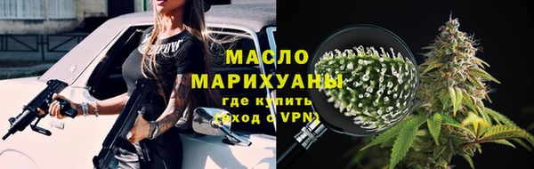 дмт Бородино
