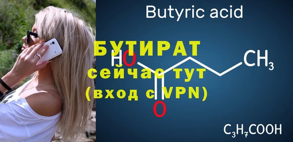 дмт Бородино