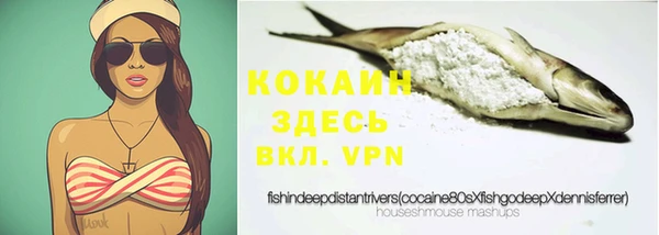 дживик Бронницы