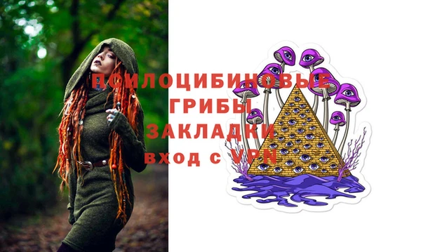 МДПВ Бугульма