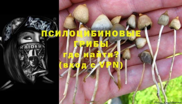 дмт Бородино