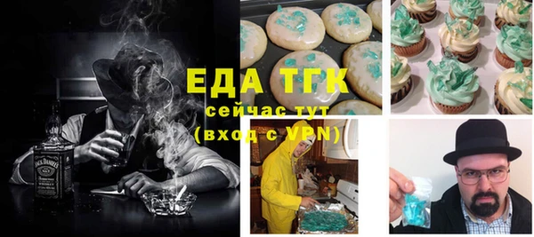 дмт Бородино
