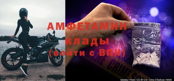 дживик Бронницы