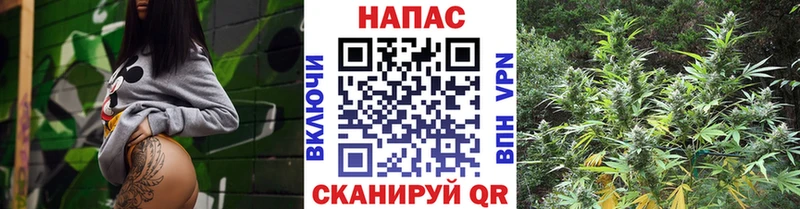 купить наркотик  KRAKEN ссылка  Бошки марихуана Ganja  Новопавловск 